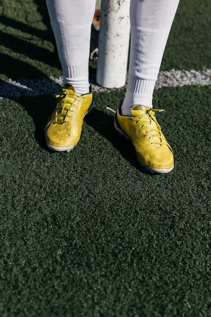 乐鱼体育客服支持